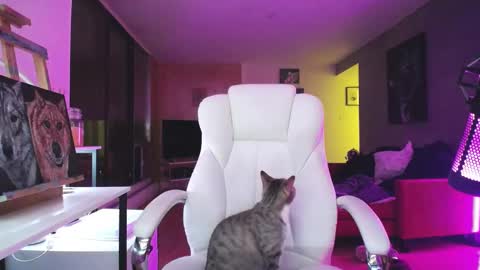 stage Kylie Sinner  brand CLITBAIT online show from 10-14-25, 01:06