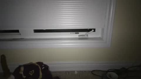 Snapshot of tj526316275 chatting on 04-23-26, 06:47 tj526316275 online show from 04-23-26, 06:47