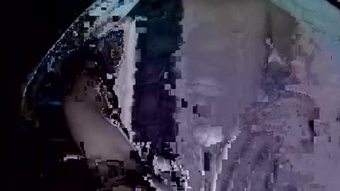 Snapshot of tjay30529 chatting on 11-25-25, 08:14 tjay30529 online show from 11-25-25, 08:14