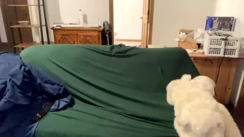 tjfemboi5641 online show from 10-20-25, 11:54