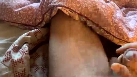 tliverth online show from 11-28-25, 07:11