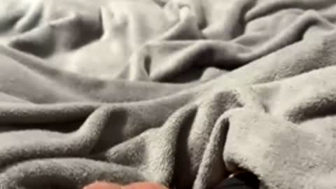 tmue online show from 02-27-26, 01:33