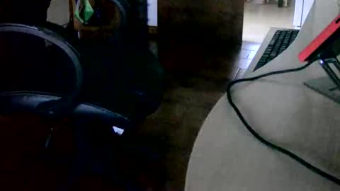 Snapshot of tobikoyuzu chatting on 11-15-25, 03:30 Tobiko online show from 11-15-25, 03:30