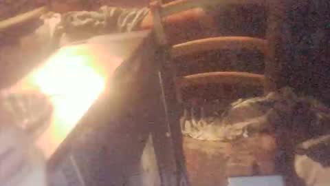 tobimcfly723 online show from 04-16-26, 11:29