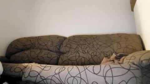 Snapshot of toffbuck chatting on 02-09-26, 04:49 ToffBuck online show from 02-09-26, 04:49