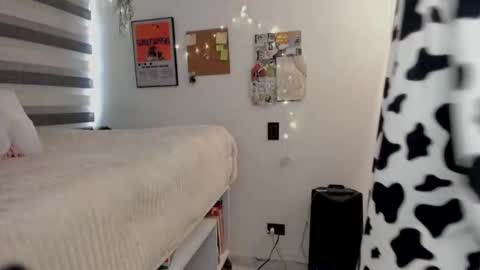 Tokyo  online show from 02-20-26, 03:56