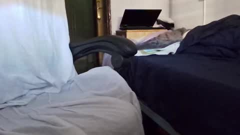 tolon408472 online show from 11-04-25, 02:38