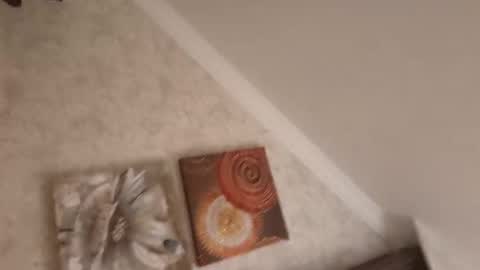 Snapshot of tom4445t chatting on 09-18-25, 03:08 tom4445t online show from 09-18-25, 03:08