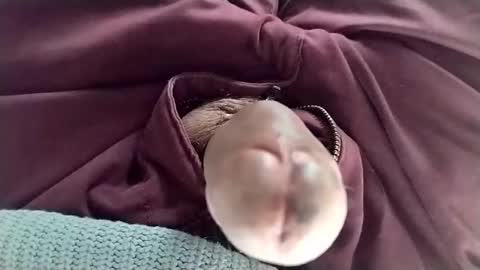 Tomas online show from 01-11-25, 08:32