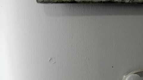 Snapshot of ton_amourrx chatting on 01-06-25, 05:38 lady blue online show from 01-06-25, 05:38