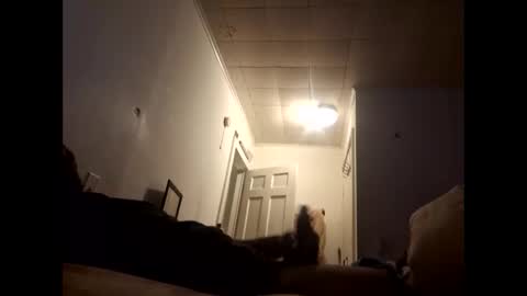 tonetanight online show from 02-07-26, 04:22