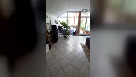 Snapshot of tonigeo43408965 chatting on 08-05-26, 10:40 tonigeo43408965 online show from 08-05-26, 10:40