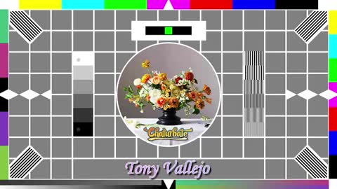 Tony V online show from 10-14-25, 09:54