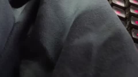 Snapshot of tonysafari chatting on 02-27-25, 01:38 tonysafari online show from 02-27-25, 01:38