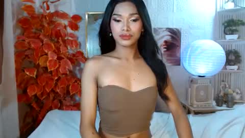 toptrans venice online show from 04-11-26, 07:13