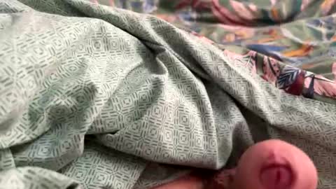 Snapshot of tos12345 chatting on 11-21-25, 12:15 tos12345 online show from 11-21-25, 12:15