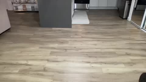 ASH online show from 02-08-25, 04:36