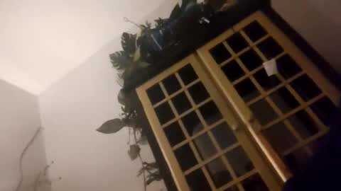 Snapshot of trans167456 chatting on 12-19-25, 09:49 trans167456 online show from 12-19-25, 09:49