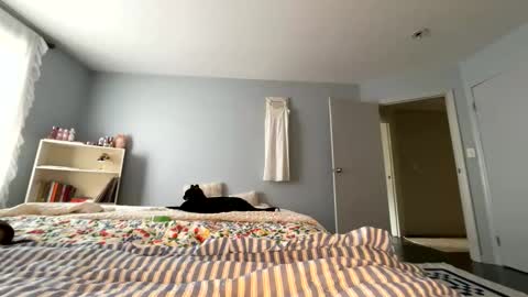 Snapshot of transgirl007 chatting on 05-30-26, 09:12 transgirl007 online show from 05-30-26, 09:12