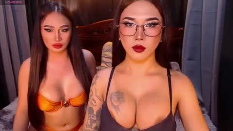 transpornidol online show from 07-19-26, 05:00