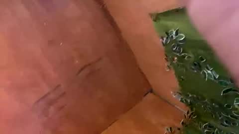 Snapshot of trebz_01 chatting on 11-17-25, 07:58 trebz_01 online show from 11-17-25, 07:58