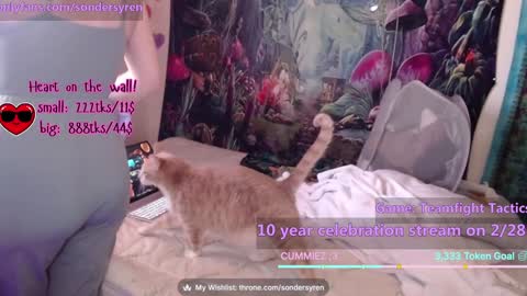 Snapshot of tricky_nymph chatting on 02-26-26, 07:46 Cassie online show from 02-26-26, 07:46