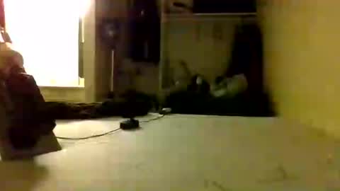 Snapshot of trickydick6 chatting on 06-25-26, 08:19 trickydick6 online show from 06-25-26, 08:19