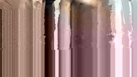 Snapshot of trillahung chatting on 02-02-25, 01:55 WapBopper online show from 02-02-25, 01:55