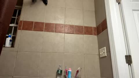 Snapshot of trillahung chatting on 02-11-25, 12:06 WapBopper online show from 02-11-25, 12:06