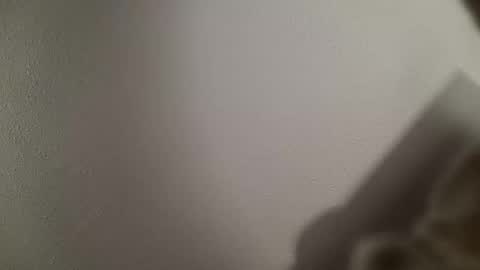 trinicdn online show from 10-25-25, 08:22