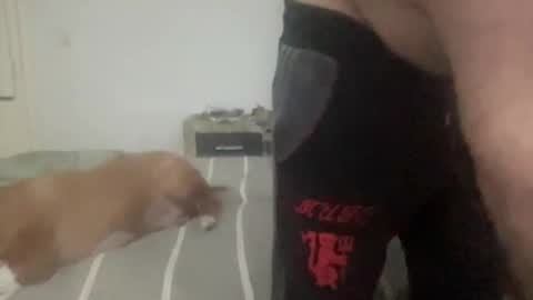Snapshot of trip2nite3000 chatting on 04-11-26, 12:15 Ramiro online show from 04-11-26, 12:15