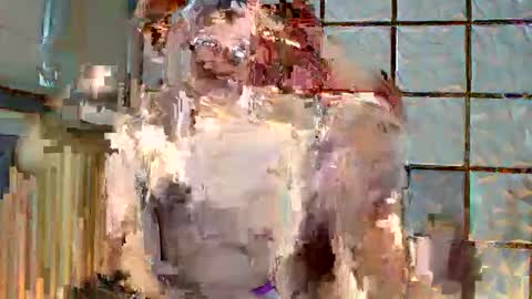 trixie_foxslut online show from 02-12-26, 11:05