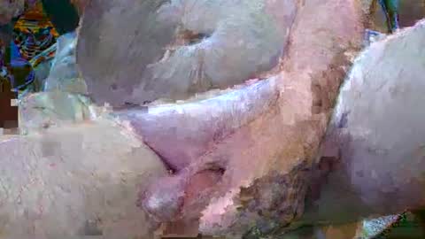 Snapshot of troy1965 chatting on 01-06-25, 04:47 troy1965 online show from 01-06-25, 04:47