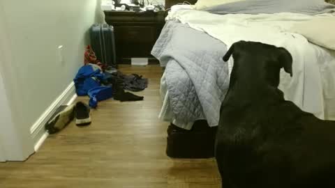 Snapshot of troy1965 chatting on 09-29-25, 04:39 troy1965 online show from 09-29-25, 04:39