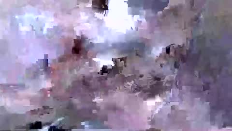 troy1965 online show from 04-12-26, 05:45