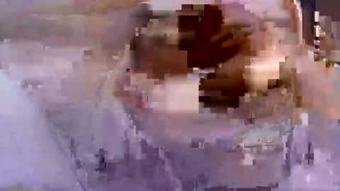 troy1965 online show from 04-26-26, 05:27