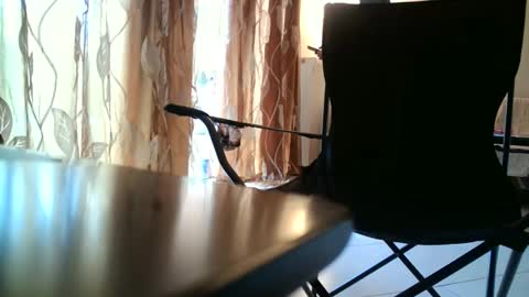 Snapshot of truble_again chatting on 05-18-26, 05:46 truble_again online show from 05-18-26, 05:46