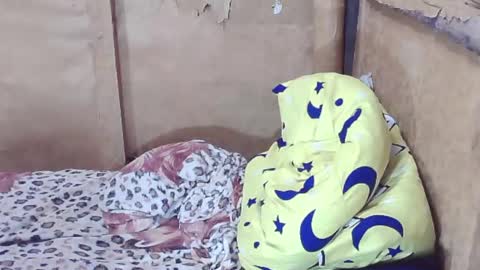 carmella online show from 12-29-24, 02:38