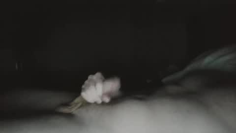 tucker 28 m online show from 03-23-26, 01:31