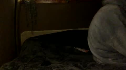 Snapshot of tuhands chatting on 02-06-25, 06:02 Tuhands online show from 02-06-25, 06:02