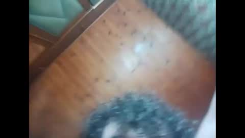 Inyutus online show from 12-02-25, 02:28