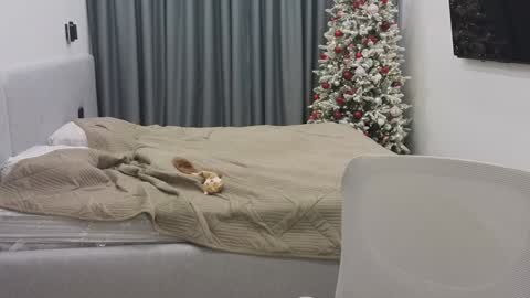 Snapshot of tutti_frutti_ chatting on 12-30-24, 12:11 Ariana online show from 12-30-24, 12:11
