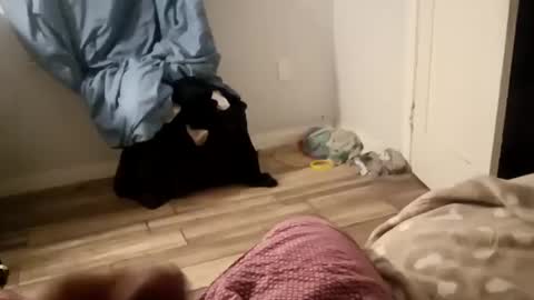 twest84 online show from 09-14-25, 08:46