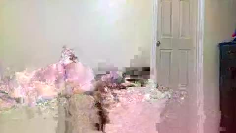 twinflamecaps online show from 04-09-26, 08:20