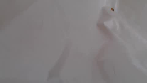 TwinFlameDesire online show from 06-05-26, 12:33