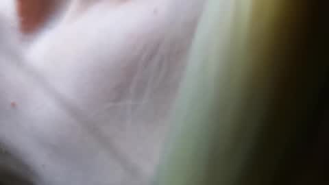 Vicky  Victor online show from 03-07-25, 04:44