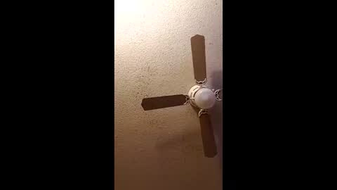 twosometeasesdarksexualkingdom online show from 02-27-26, 11:32