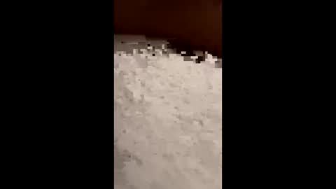 txcouple281 online show from 11-16-25, 08:53