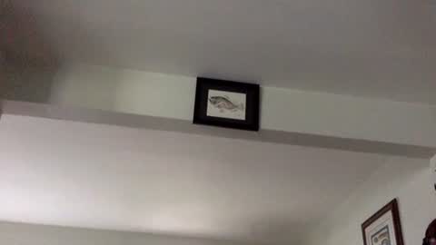 Tyler Durden online show from 02-08-25, 06:12