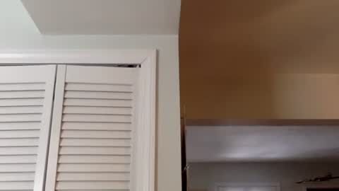 Tyler Durden online show from 02-13-25, 05:54